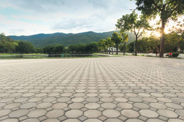Best Driveway Pavers Contractor  in Alliance, NE
