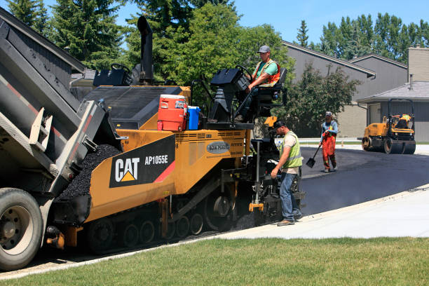 Best Custom Driveway Pavers  in Alliance, NE